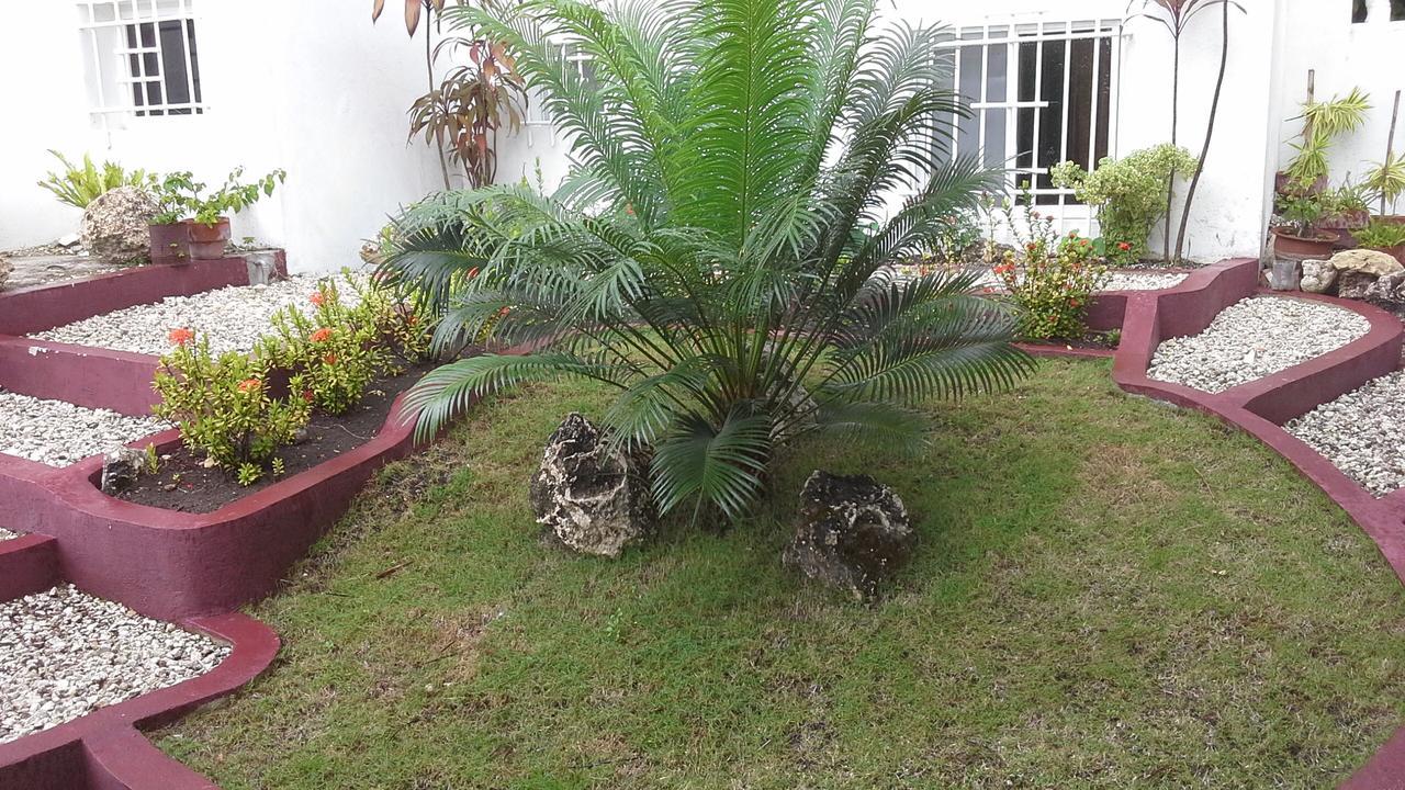 House Rapunzel Hotel Oslob Exterior foto